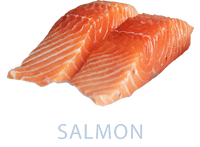 Salmon